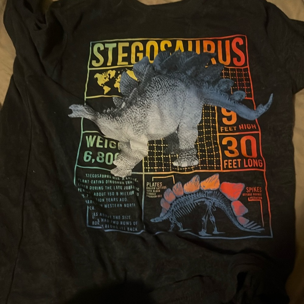 Boys dinosaur shirt